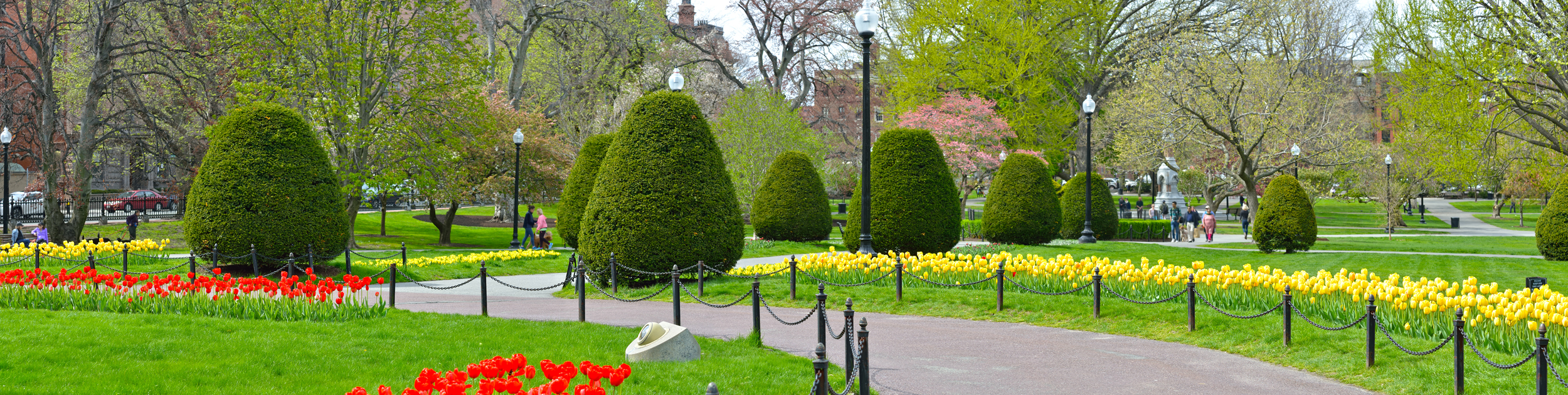 flower garden in Boston showing yellow and red flowers along a walkway