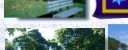 North Shore Ma Homes Real Eestate