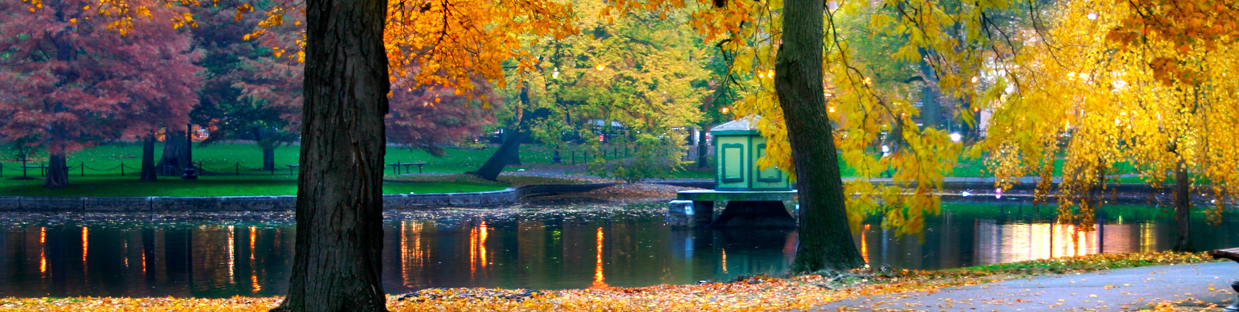 Fall image