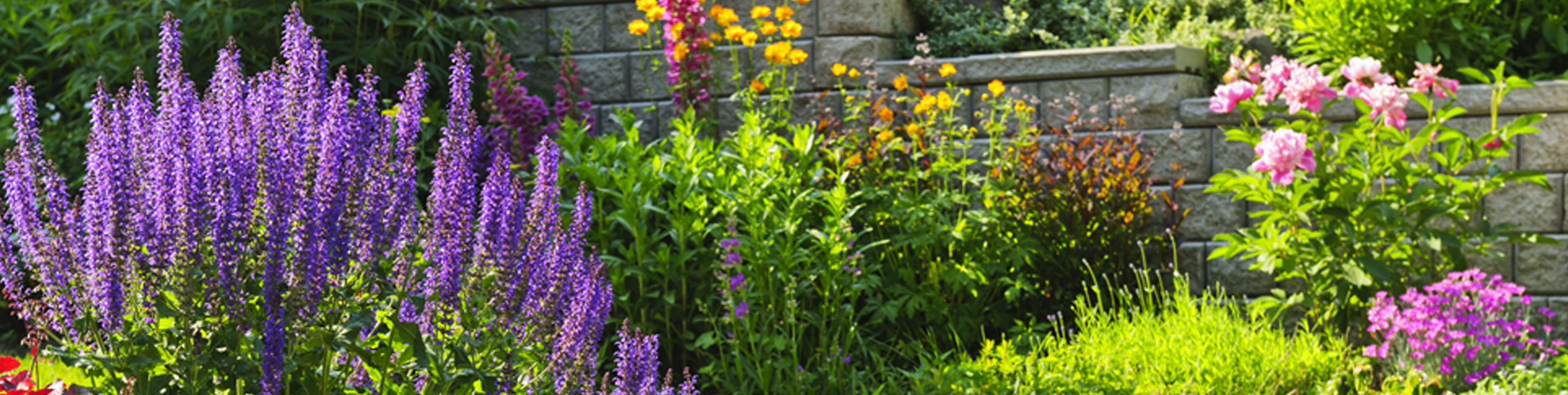 Spring image