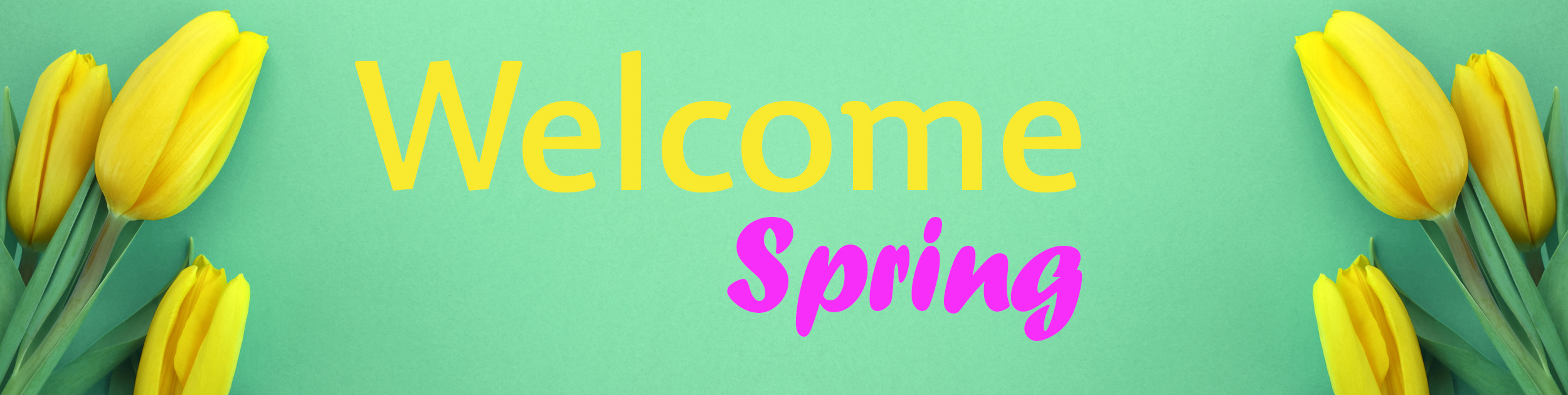 Spring image