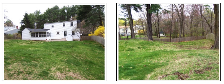 10 Miller new webpage 2