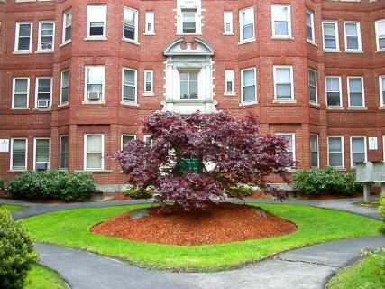 15 Lynde Street, Unit #23, Salem, MA 01970 condo courtyard view
