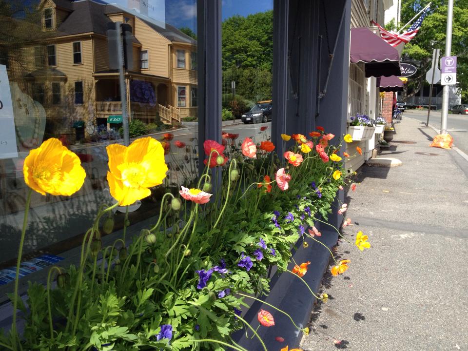ManchesterTulips.jpg