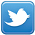 Follow Patty on Twitter