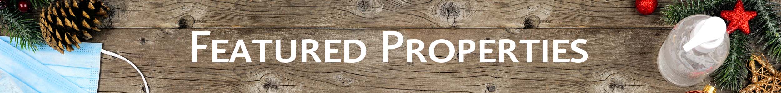 Featured Properties for Carol McDonald Holidays 2020 Featured Properties Holidays 2020