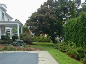 30753761-backyard.jpg