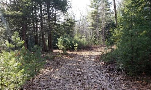 0 Colony Road Phillipston, MA 01331