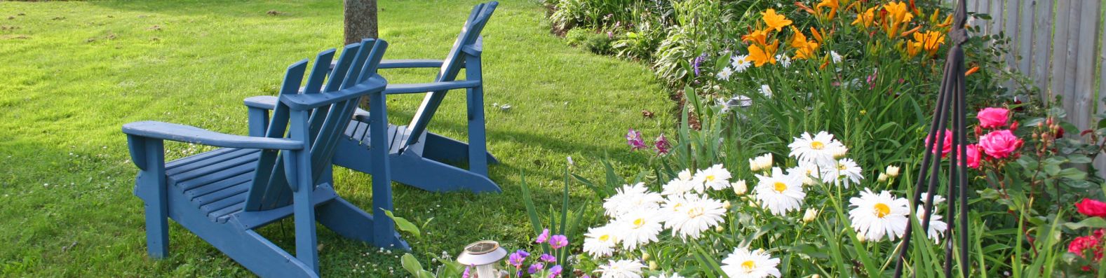 two empty blue adirondack chairs sitting upon a luscious green lawn and surrounded by beautiful daisies and other flowers on a sunny day