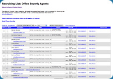 Real Estate Agent Web Sites