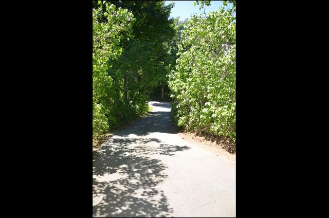 (auto-resized from 640x424)