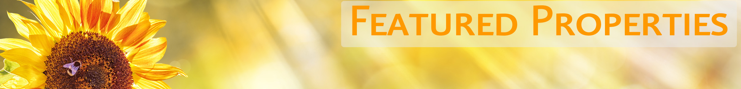 Featured Properties for Mary Wood Summer 2019 Featured Properties Summer 2019