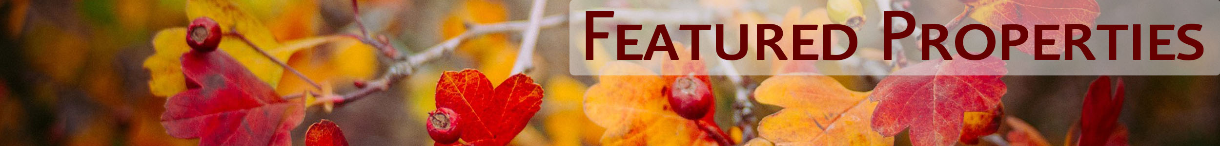 Featured Properties The Gary Blattberg Team - Fall 2025