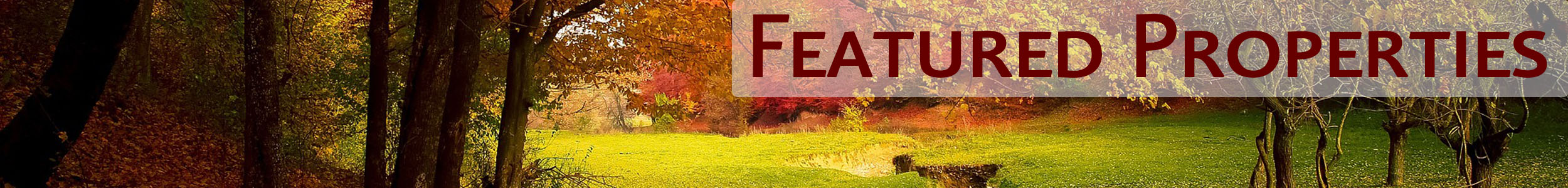 Featured Properties for Mary Wood Fall 2020 Featured Properties Fall 2020