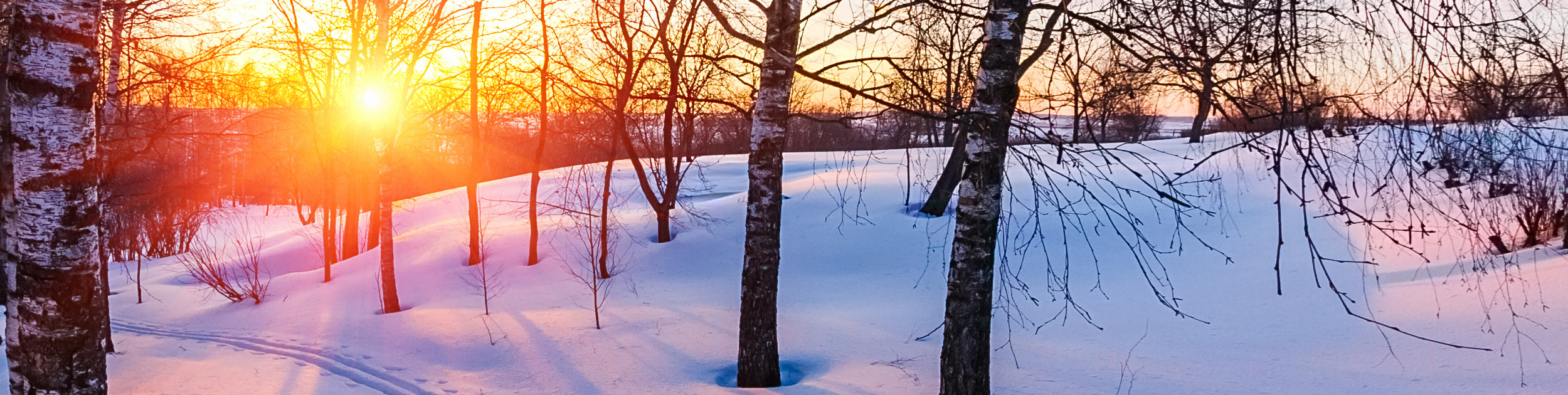 sun setting in snow cover woods