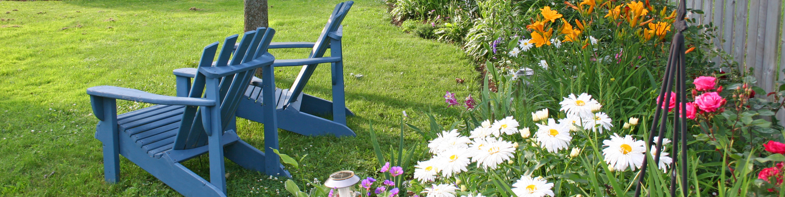 two empty blue adirondack chairs sitting upon a luscious green lawn and surrounded by beautiful daisies and other flowers on a sunny day