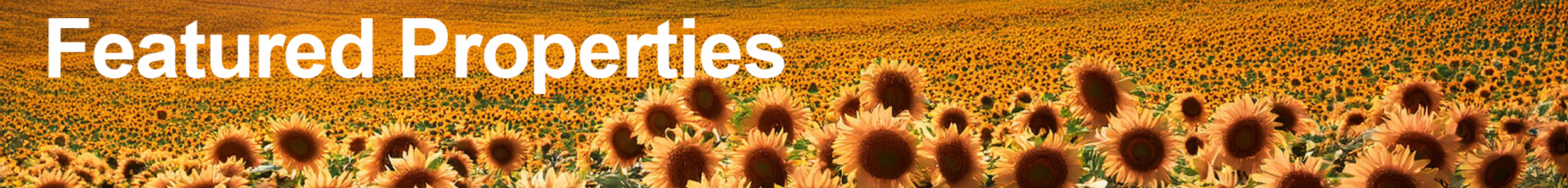 a field of sunflowers with the words Featured Properties in white