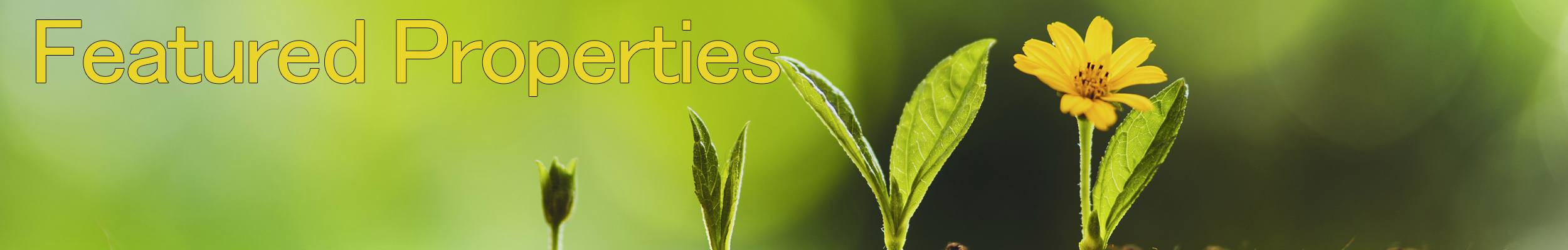 Featured Properties Spring 2026