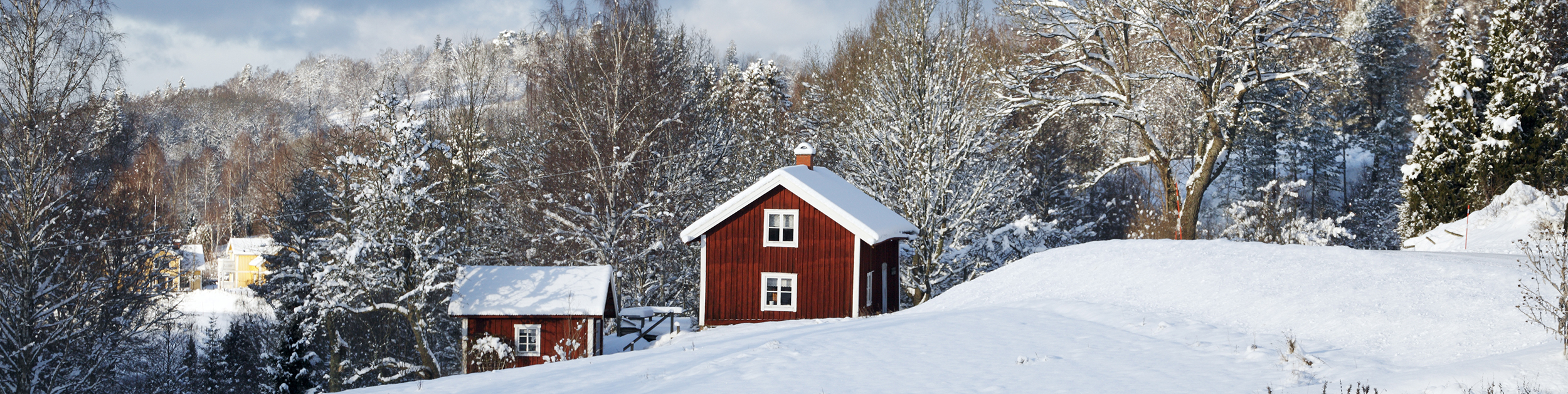 winter image - snow covered neighborhood in New Hampshire