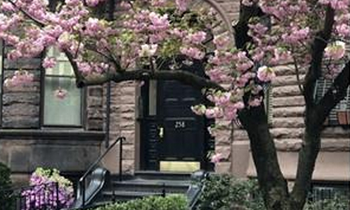 258 Marlborough Street Boston, MA 02116 front entrance of Back Bay rental property shown with beautiful flowering tree