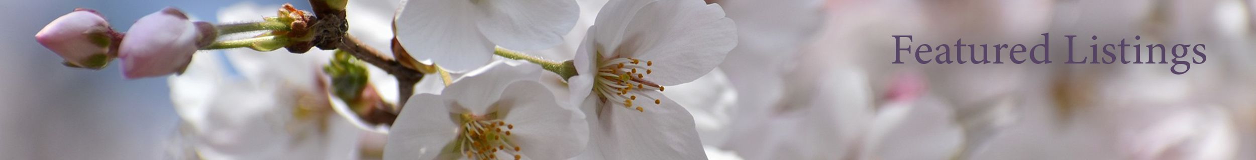 Featured Properties for Mary Wood Spring 2019 Featured Properties Spring 2019