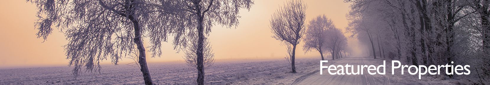 Featured Properties for Mary Wood Winter 2018 Featured Properties Winter 2018