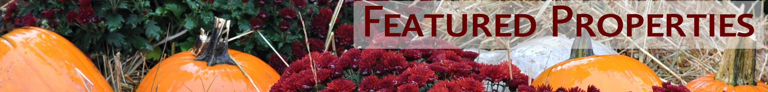 Featured Properties for Susanne McInerney Fall 2019 Featured Properties Fall 2019