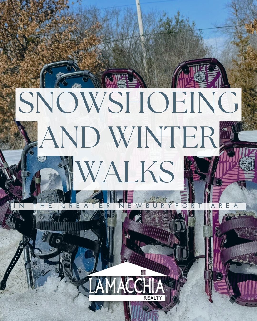 Snowshoeing and Winter Walks in the Greater Newburyport Area