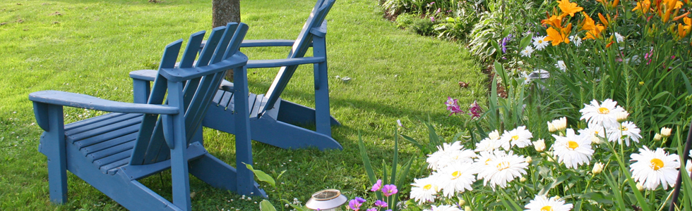 two empty blue adirondack chairs sitting upon a luscious green lawn and surrounded by beautiful daisies and other flowers on a sunny day