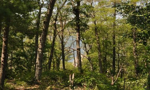 26 Uncas Road, Gloucester, MA 01930