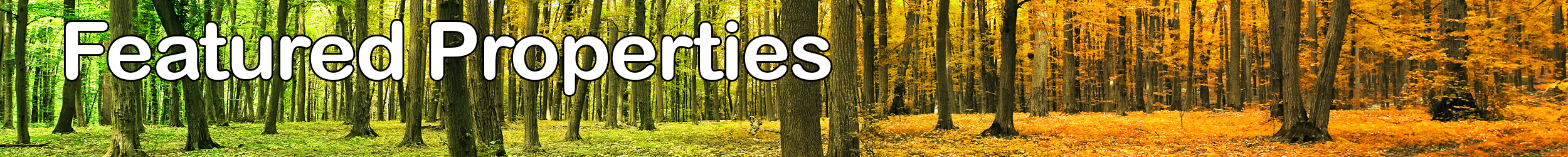 Featured Properties banner with summer trees changing to autumn
